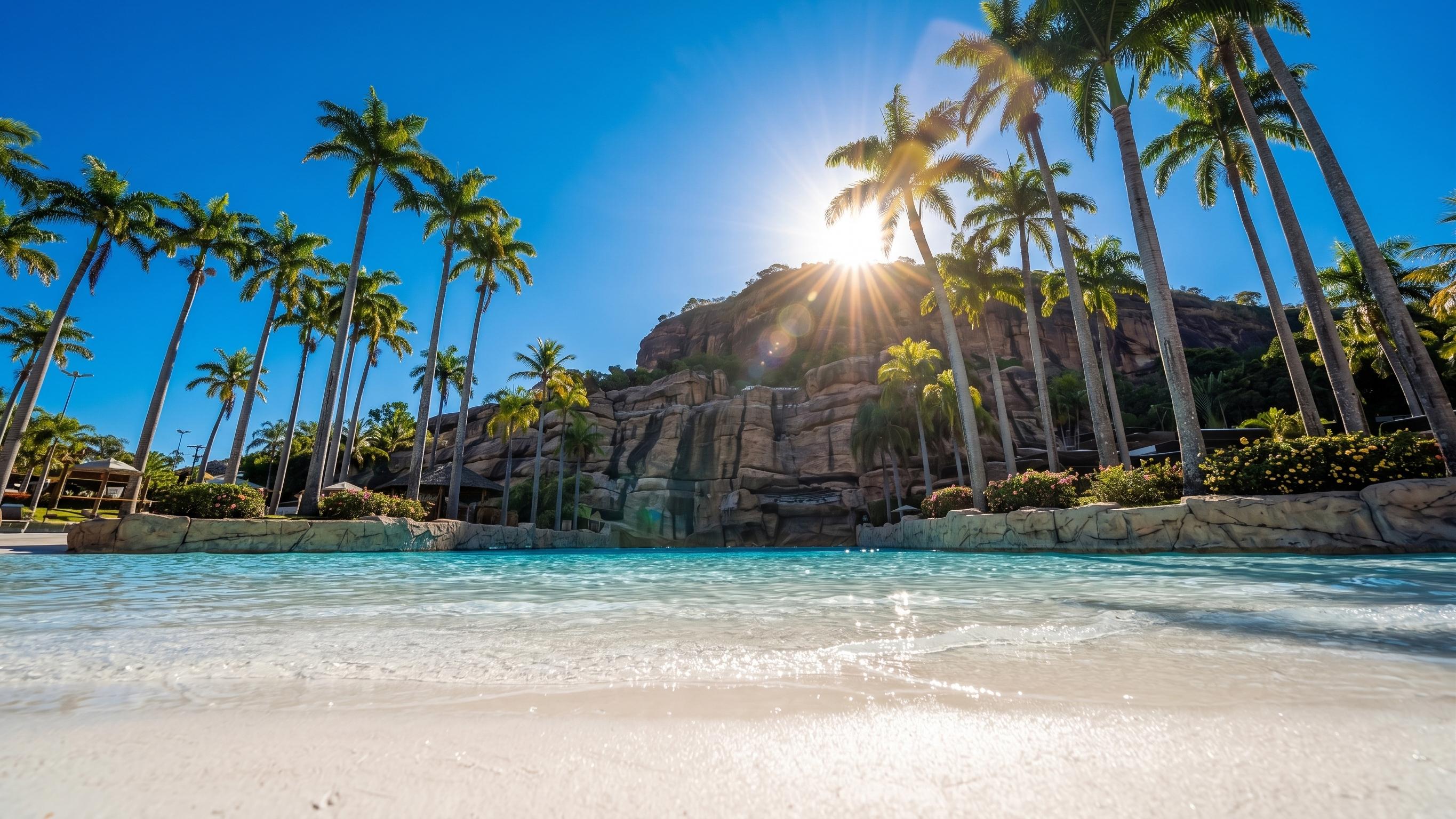 Destino paradisíaco com piscina e coqueiros